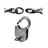 Weapon Unlocks (challenges)