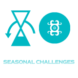 Seasonal Challenges Boost