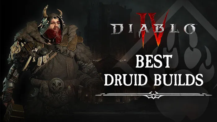 Top Druid Builds In Diablo 4 – Best Druid Build For You