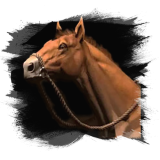 Dustback Steed