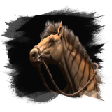 Striped Steppe Steed