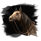 Taiga Roan Steed