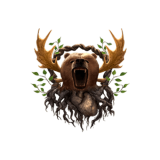 Druid Starter Build