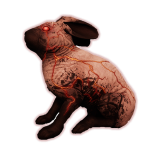Rabbit's Revenge Event Boost