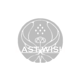 Last Wish Recovery Service