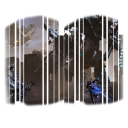 Void Intercepts Boost