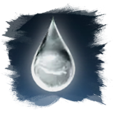 Training Dew For Sale