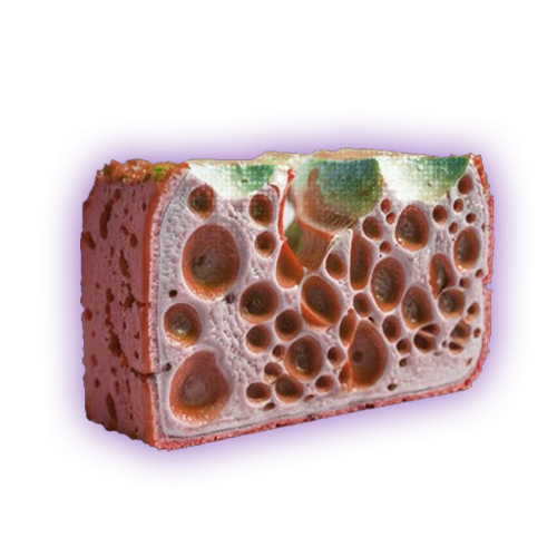 Buy Macromolecule Biogel – TFD Service | KBoosting