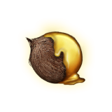 NW Goldcursed Coconut for Sale