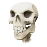 Skeleton Curse Boost