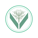 Iron Banner Event Rank Boost