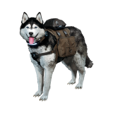 Snowy Sled Dog Unlock