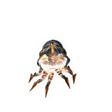 Shimmering Aurelid Mount For Sale