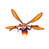 Amberglow Stinger For Sale