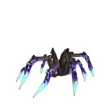 Cinderweb Recluse For Sale