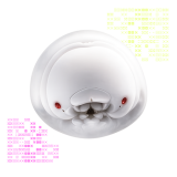 Sekiguchi Faction Reputation